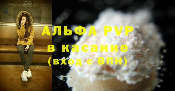 apvp Иннополис