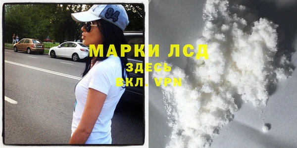 apvp Иннополис