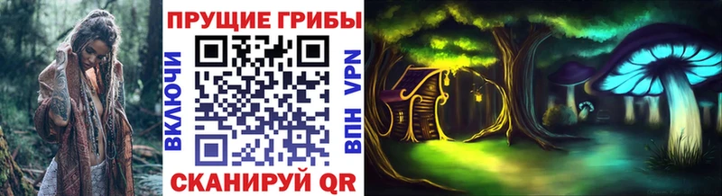 Купить Губкин Галлюциногенные грибы Psilocybe