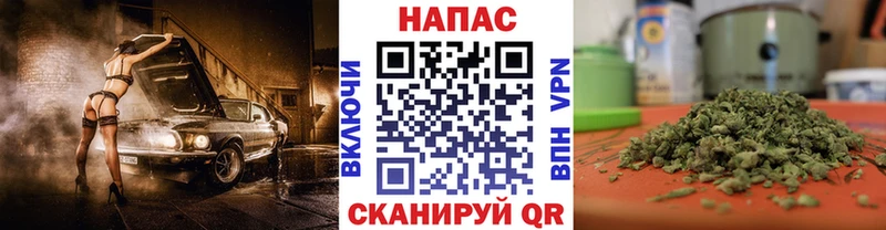 Купить  Губкин  Марихуана Amnesia 